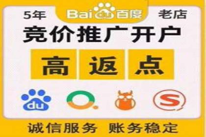 SEM托管策略：看行业巨头如何操作